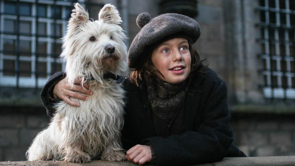 お家にいよう こんな時期だからお家で犬テレビ三昧 新型コロナウイルス Dog Emergency Com